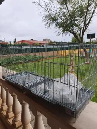 Jaula para pájaros plateada