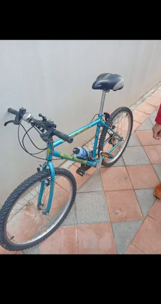 Bicicleta de montaña Globe Trotter