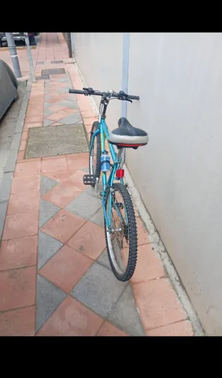 Bicicleta de montaña Globe Trotter