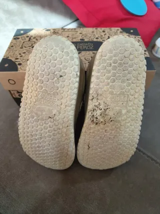 Zapato Feroz Paterna Rayo Rocker T. 26