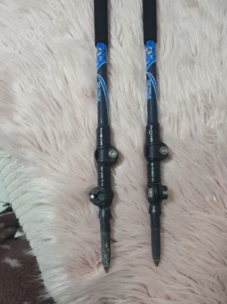 Bastones de senderismo Crivit