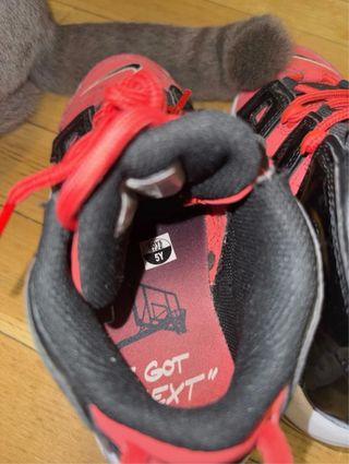 Nike Air More Uptempo