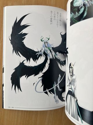 BLEACH Brave Souls Artwork - 1a Edición