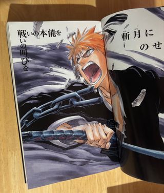Bleach 3 Official Animation Books