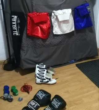 Lote Boxeo Charly: Saco y Guantes