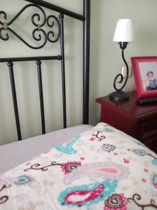 Cabecero forja y lámpara techo forja