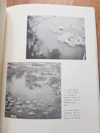 Libros arte. Breve historia de la sombra