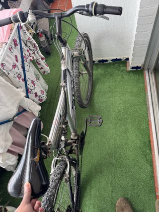 Bicicleta de montaña plateada