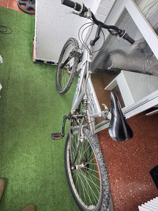 Bicicleta de montaña plateada