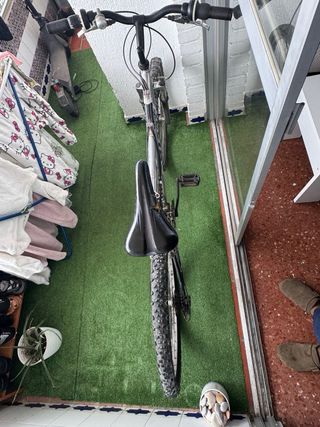 Bicicleta de montaña plateada