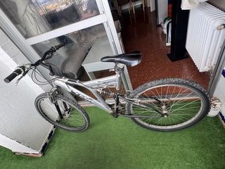 Bicicleta de montaña plateada