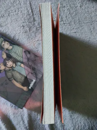 Libro Max el gato detective, el retrato fantasma.