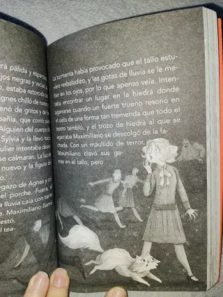 Libro Max el gato detective, el retrato fantasma.