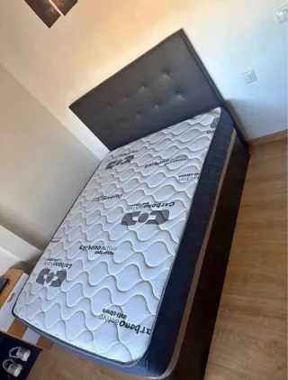 Liquidación Canapés y Colchones