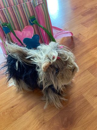 Peluche Perro con Bolso Rayas