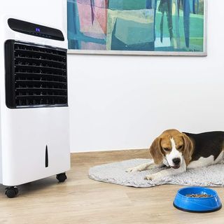 Cecotec Climatizador Evaporativo EnergySilence