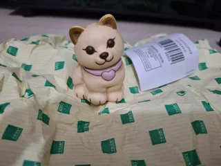 Gattino Thun Limited Edition Bauli