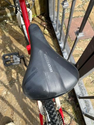 Bicicleta infantil roja y blanca