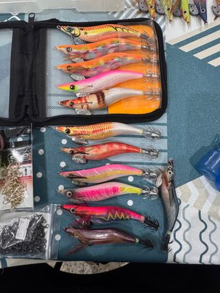 Lote Pajaritas Egging