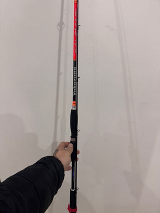 Lote Pajaritas Egging