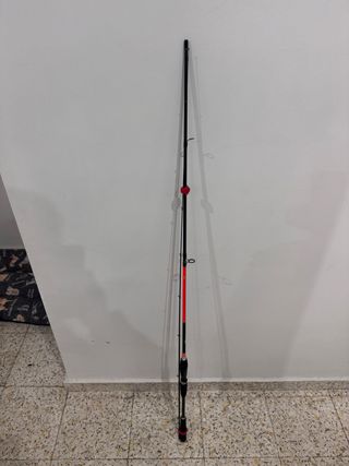 Lote Pajaritas Egging