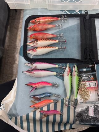 Lote Pajaritas Egging