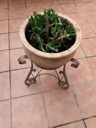 Macetero de forja