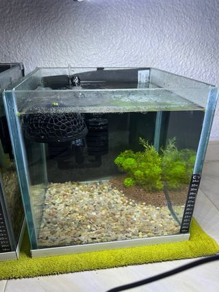 2x ACUARIOS 25L (Pecera)