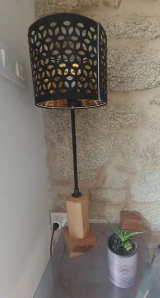 Suculentas en maceta