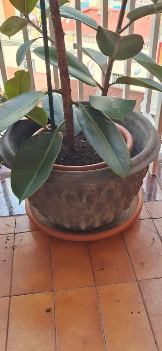 Macetero antiguo de terracota y piedra