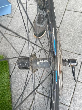 Rueda Delantera Bici Montaña Shimano