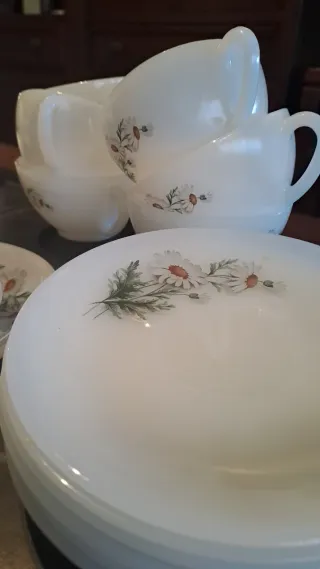 Juego 7 tazas y platillos Arcopal