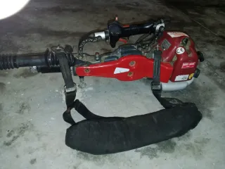 Vibradora de aceitunas