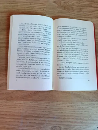 Libro de lectura. El escribiente de lápidas