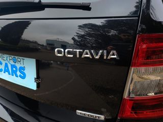 Skoda Scout 2.0 TSI 140kW (190CV) DSG 4x4 Scout