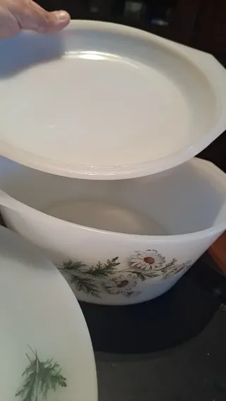 Juego Vajilla Arcopal Flores Vidrio