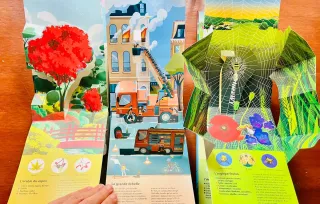 Árboles Bichos y Bomberos Pop Up