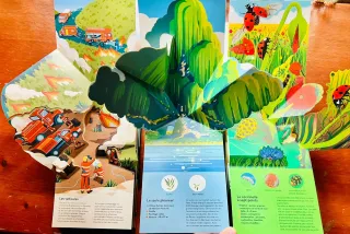 Árboles Bichos y Bomberos Pop Up