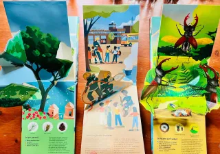 Árboles Bichos y Bomberos Pop Up