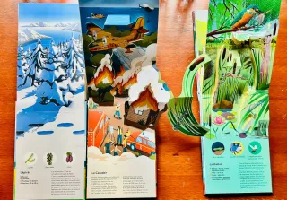 Árboles Bichos y Bomberos Pop Up