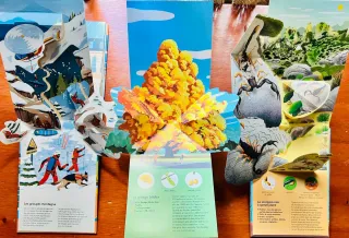 Árboles Bichos y Bomberos Pop Up