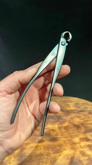 YAGIMITSU VACIADORA MAME / SHOIN BONSAI