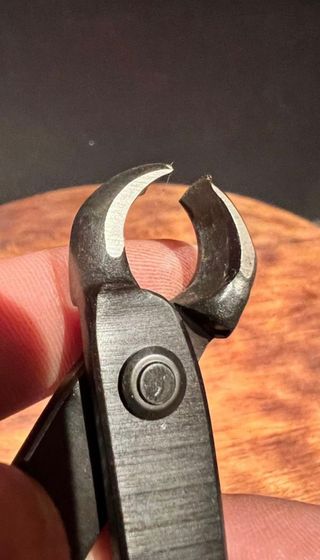 YAGIMITSU VACIADORA MAME / SHOIN BONSAI