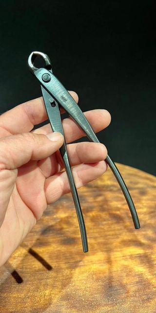 YAGIMITSU VACIADORA MAME / SHOIN BONSAI