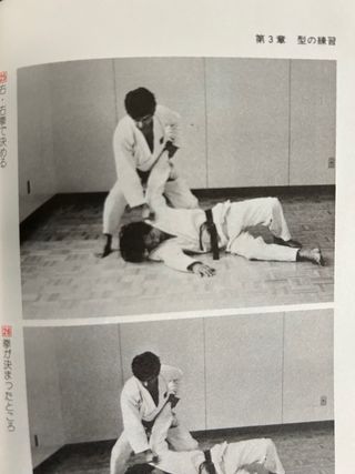 Libro karate-do japonés Nyumon Japón