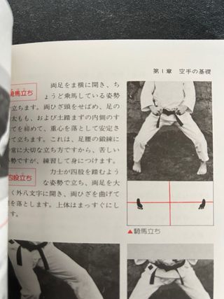 Libro karate-do japonés Nyumon Japón