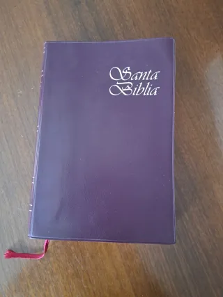 Santa Biblia