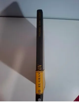 El gran Gatsby (novela gráfica)