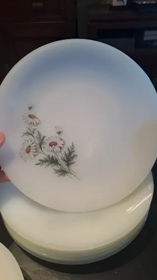 Juego Arcopal Platos Flores