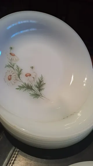 Juego Arcopal Platos Flores